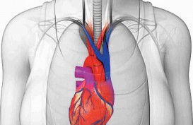 Kenali Gejala dan Penyebab Dextrocardia, Posisi Jantung di Sebelah Kanan