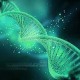 Prosedur dan Biaya Pemeriksaan Genomik, untuk Kanker hingga Talasemia
