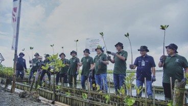 Penanaman 2.000 Bibit Mangrove untuk Bali