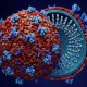 Virus Marburg Berisiko Jadi Pandemi, Kenali Gejala dan Cara Pencegahannya