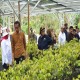 Jokowi: Persemaian Mentawir Dukung Reklamasi Lubang Bekas Tambang di IKN
