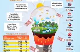 IPO PERTAMINA GEOTHERMAL ENERGY TBK. : Menanti Uap Panas Geotermal