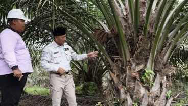 Bupati Muba Terima Penghargaan Inovasi Permodelan Pendampingan Sawit Rakyat