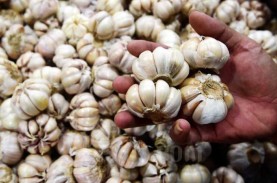 Indonesia Hampir 100 Persen Impor Bawang Putih, Ini…