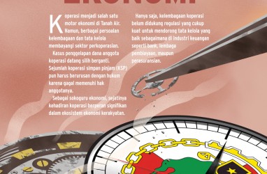 MASALAH DI KOPERASI : Mati Suri Sokoguru Ekonomi