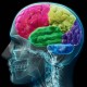 Terapi untuk Diffuse Axonal Injury, Cedera Otak yang Dialami David