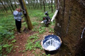 3 Pabrik Karet di Sumbar Tutup