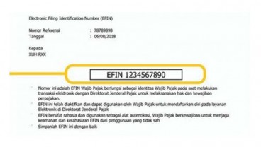 Cara Mudah Mendapatkan EFIN Pajak Melalui Online Tanpa Perlu Datang Langsung