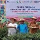 Digital Farming, Hasil Panen Cabai Merah Meningkat Sampai 1,5 Kg per Batang