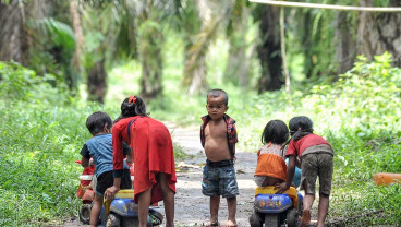 Hutan di Jambi Jadi Perkebunan, Orang Rimba Terpaksa Menumpang di Areal Perkebunan