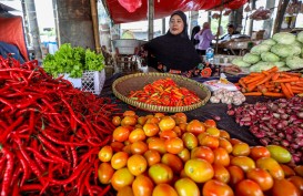 Februari 2023 Riau Inflasi 0,14 Persen, Cabai Merah dan Beras Beri Andil Besar