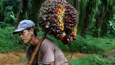 Petani Riau Masih Sejahtera, NTP Februari 2023 Mencapai 154,52