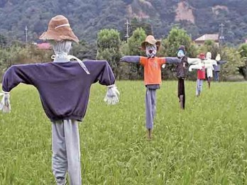 BI Dukung Hilirisasi Pertanian untuk Jaga Inflasi di Jateng