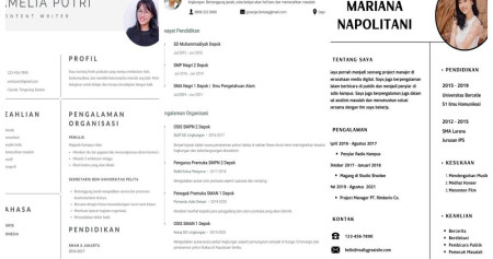 Tips dan contoh CV fresh graduate tanpa pengalaman hingga SMA