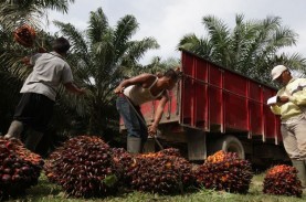 Anak Buah Airlangga: Mimpi RI Jadi Barometer Harga…