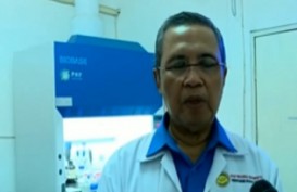 Warning! Virus Flu Burung yang Mewabah di Kamboja Serupa dengan di Indonesia