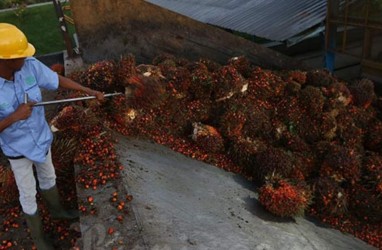 Membaca Sentimen Permintaan CPO dari India dan China