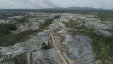 Proyek Food Estate Dinilai Boros Anggaran dan Tak Ramah Lingkungan