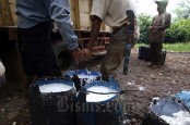 Harga Karet Sumsel 6 Maret 2023 Naik Rp30 Per Kilogram