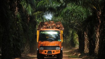 Emiten CPO Austindo (ANJT) Beri Pinjaman Rp306 Miliar ke Anak Usaha