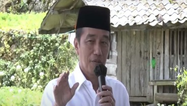 Sering Dapat Keluhan Soal Pupuk dari Petani, Ini Kata Jokowi