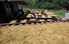 Kawasan Industri Tembakau di Malang Terkendala Lahan