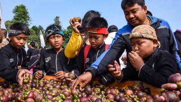 Pemkab Purwakarta Perluas Gaung Buah Manggis Melalui Festival