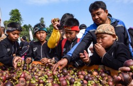 Pemkab Purwakarta Perluas Gaung Buah Manggis Melalui Festival