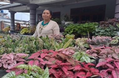 Pedagang di Kampung Bunga Kopeng Sehari Bisa Raup Jutaan Rupiah