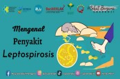 Apa itu Leptospirosis? Kenali Penyebab dan Pencegahannya