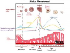 Haid Tidak Teratur, Bisa Jadi Tanda Diabetes