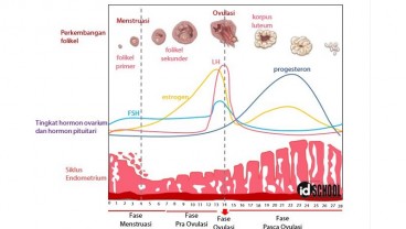 Haid Tidak Teratur, Bisa Jadi Tanda Diabetes