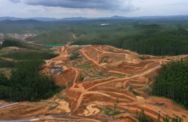 RTRW Kalimantan Timur Dukung Keberlangsungan Lingkungan di Sekitar IKN Nusantara