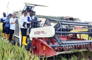 Panen Padi Melimpah, Ini Harapan Pemkab OKI