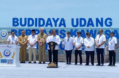 Tambak Udang Modern di Kebumen Bakal Diperluas