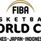 Buruan Daftar! Ini Link untuk Jadi Volunteer FIBA World Cup 2023
