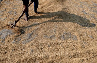 Jokowi Minta Bulog Serap Gabah Petani Sebanyak-banyaknya