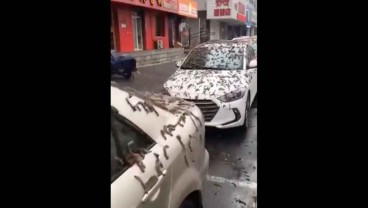 Saat Indonesia Geger Merapi Erupsi, China Heboh karena Fenomena Hujan Cacing