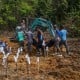 Korban Jiwa Longsor Natuna Kepulauan Riau 46 Orang