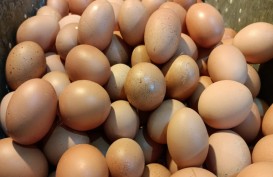 Jelang Ramadan, Harga Telur Ayam di Pasar Jakarta Tembus Rp30.000 per Kg