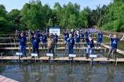 Tugu Insurance dan YKAN dukung Pelestarian Mangrove di SM Muara Angke