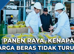 Jokowi: Seimbangkan Harga Beras dan Gabah Itu Sulit!