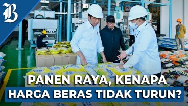 Jokowi: Seimbangkan Harga Beras dan Gabah Itu Sulit!