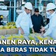 Jokowi: Seimbangkan Harga Beras dan Gabah Itu Sulit!