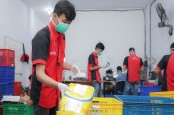 Tanam 1.000 Pohon Mangrove, SiCepat Ekspres Wujudkan Eco-Green