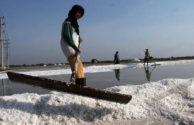 Lahan Tambak Garam di Kabupaten Cirebon Menyusut