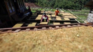 Petani dan Pengusaha Tembakau Mulai Bergabung ke KIHT Lombok Timur