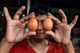 Harga Telur Bisa Tembus Rp32.000 per Kg! Bapanas:…
