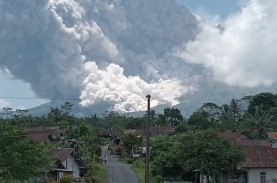 Hati-hati!, 4 Gunung di Indonesia Status Siaga Hari…