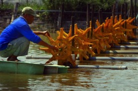 Genjot Target Kredit UMKM, Ini Strategi Ala BRI (BBRI)…